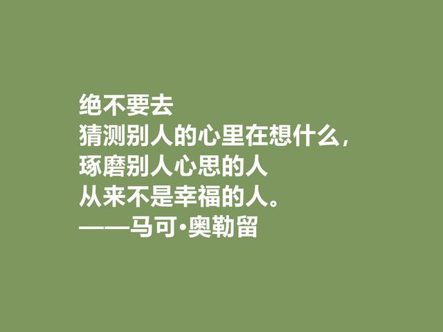 罗马帝国贤君，又是哲学家，马可·奥勒留格言，读懂净化心灵