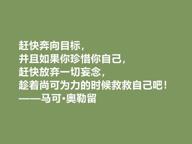 罗马帝国贤君，又是哲学家，马可·奥勒留格言，读懂净化心灵