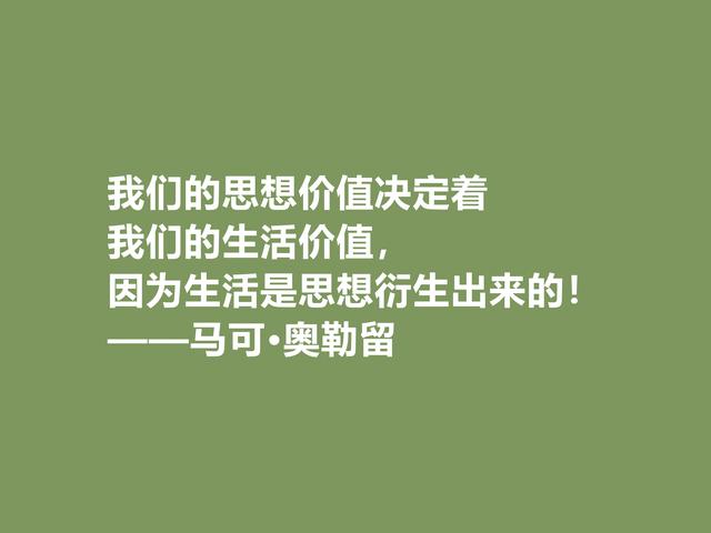 罗马帝国贤君，又是哲学家，马可·奥勒留格言，读懂净化心灵