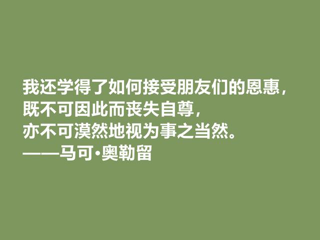 罗马帝国贤君，又是哲学家，马可·奥勒留格言，读懂净化心灵