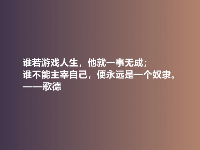 伟大的西方诗人，抒情诗绝美，歌德美言，暗含浓烈的人生真谛