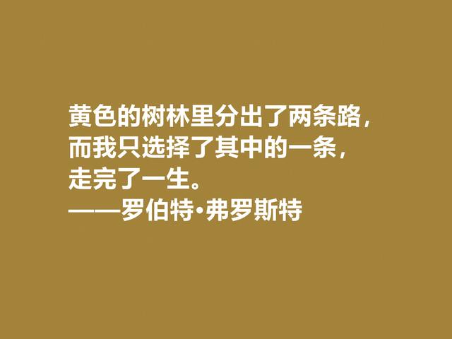 美国诗人罗伯特·弗罗斯特佳话，景物唯美道理深刻，启迪人生