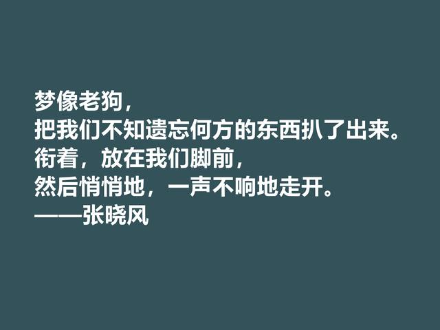 著名女散文家，张晓风格言，句式绚丽多姿，读完让人流连忘返