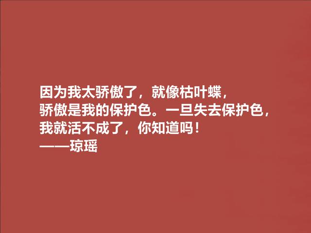 琼瑶的爱情，朴素又纯真，极具民族特色，这美言，你爱了吗？