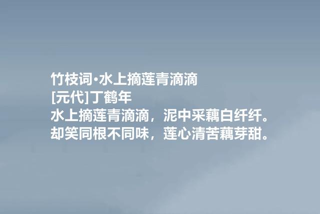 明朝高寿诗人，少数民族名家，他这诗极具个性，尽显悲情美感