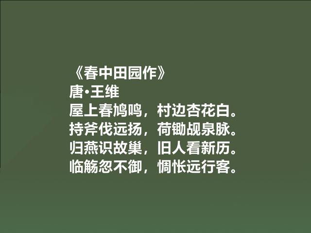 劳动节读古诗，传承我国劳动美德，作为中国人，我骄傲我自豪