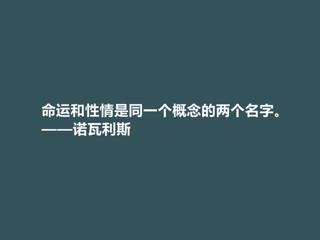 德国浪漫主义奠基人，诗人诺瓦利斯格言，文字唯美，内涵深刻