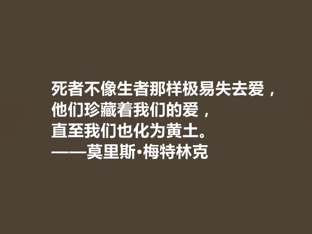 他是象征主义作家，一生追求光明与美，这格言，说得真透彻