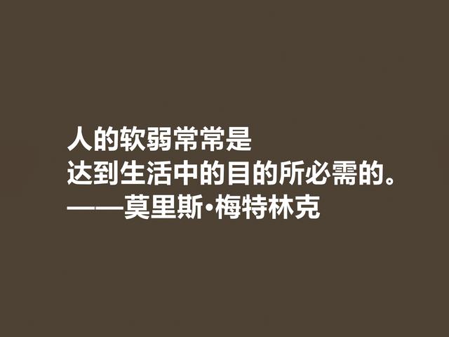 他是象征主义作家，一生追求光明与美，这格言，说得真透彻