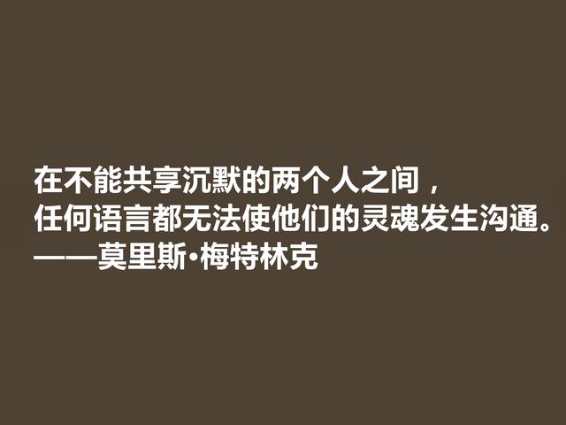 他是象征主义作家，一生追求光明与美，这格言，说得真透彻