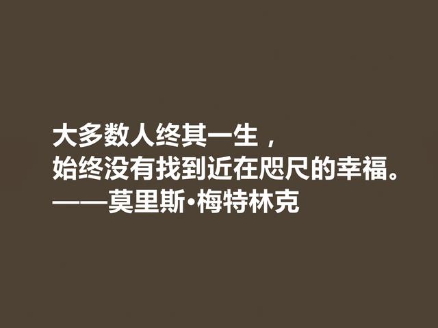 他是象征主义作家，一生追求光明与美，这格言，说得真透彻