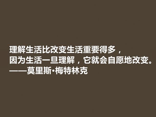 他是象征主义作家，一生追求光明与美，这格言，说得真透彻