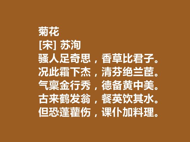 北宋文学家，苏洵诗，情感刻骨铭心，叫人拍案叫绝，不愧名家