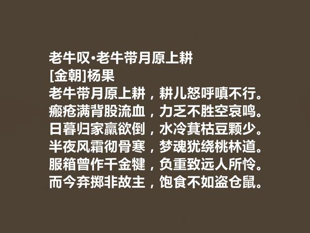 金朝诗人杨果，诗歌备受冷落，他这诗极具个性，必须另眼相看