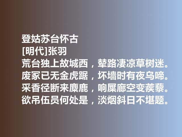 明朝初期诗人，张羽与高启齐名，他这诗，阴郁又含蓄