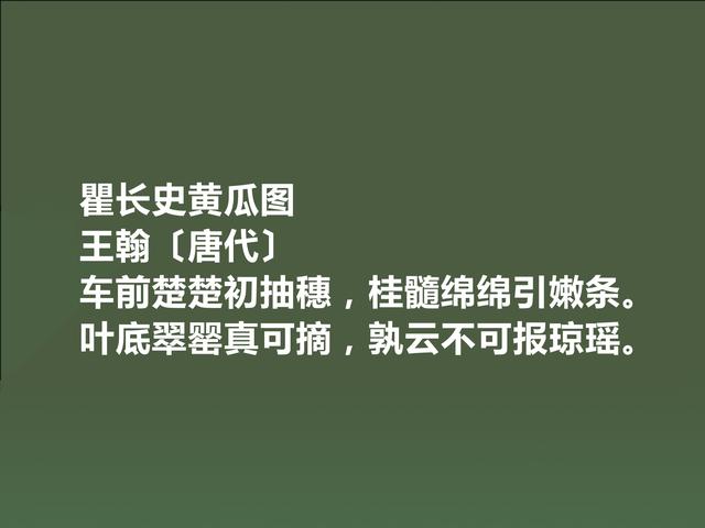 盛唐备受忽视的诗人，王翰这诗，豪放不羁，感情奔放