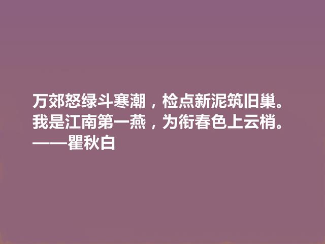 伟大的革命先驱，瞿秋白这格言，充满爱国情怀，让人荡气回肠