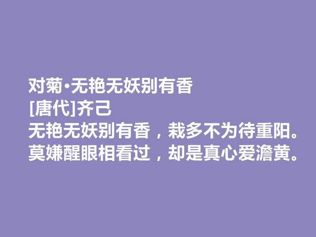 晚唐著名诗僧，齐己这诗，充斥着佛禅意境，读懂具有启迪作用