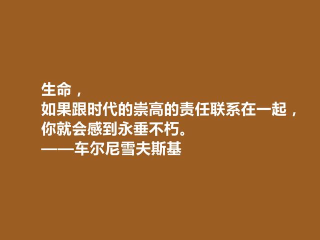 俄国哲学家和作家，车尔尼雪夫斯基话，极具哲学意义