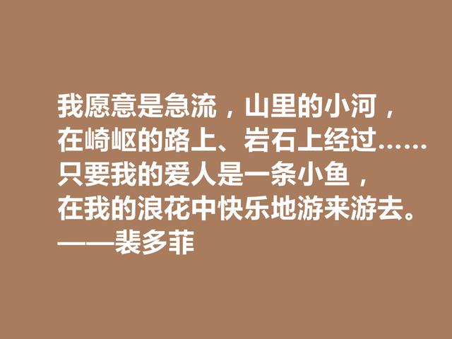 匈牙利爱国诗人，读裴多菲诗句，尽显坚定不移的决心