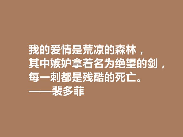 匈牙利爱国诗人，读裴多菲诗句，尽显坚定不移的决心