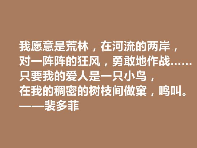 匈牙利爱国诗人，读裴多菲诗句，尽显坚定不移的决心