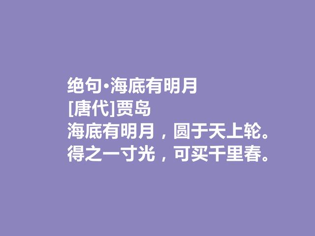 唐朝最刻苦的诗人，因生计出家为僧，贾岛这诗，佛禅理念浓重