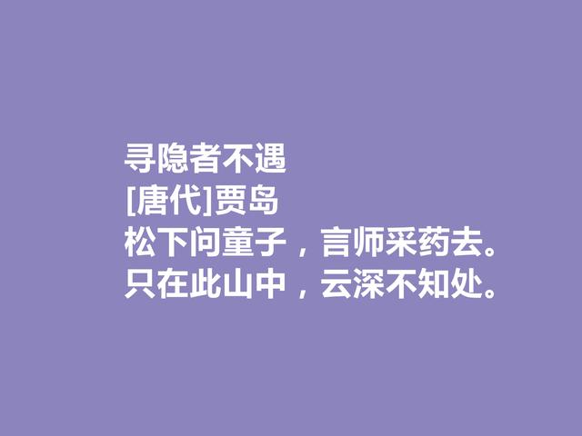 唐朝最刻苦的诗人，因生计出家为僧，贾岛这诗，佛禅理念浓重