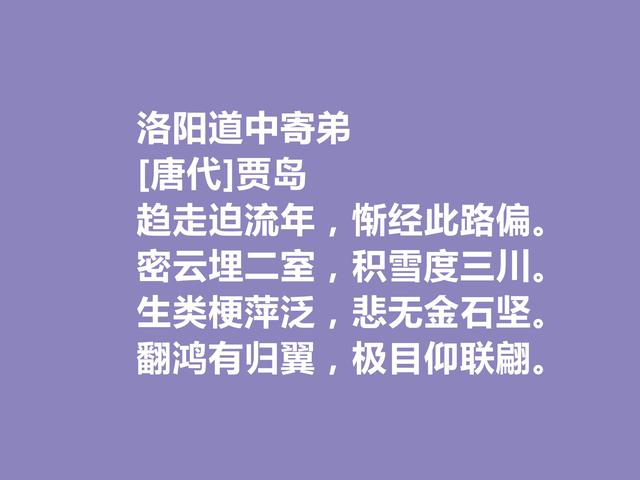 唐朝最刻苦的诗人，因生计出家为僧，贾岛这诗，佛禅理念浓重