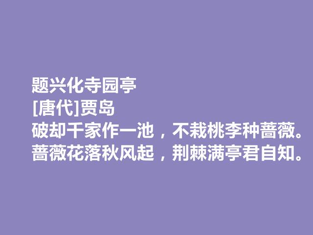 唐朝最刻苦的诗人，因生计出家为僧，贾岛这诗，佛禅理念浓重