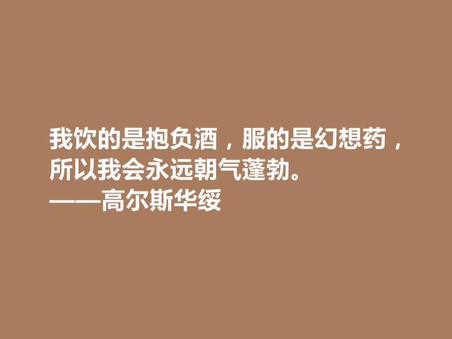 风靡一时的英国作家，高尔斯华绥格言，现实主义强烈，真犀利