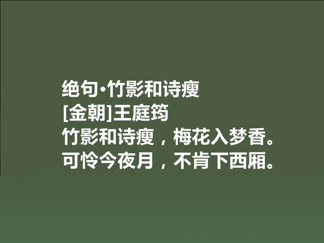 他是金朝诗坛大人物，王庭筠这诗，透射出孤独意境，值得品读