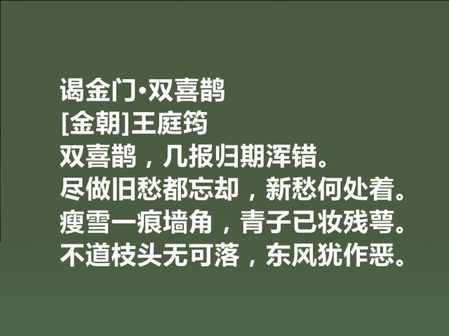 他是金朝诗坛大人物，王庭筠这诗，透射出孤独意境，值得品读