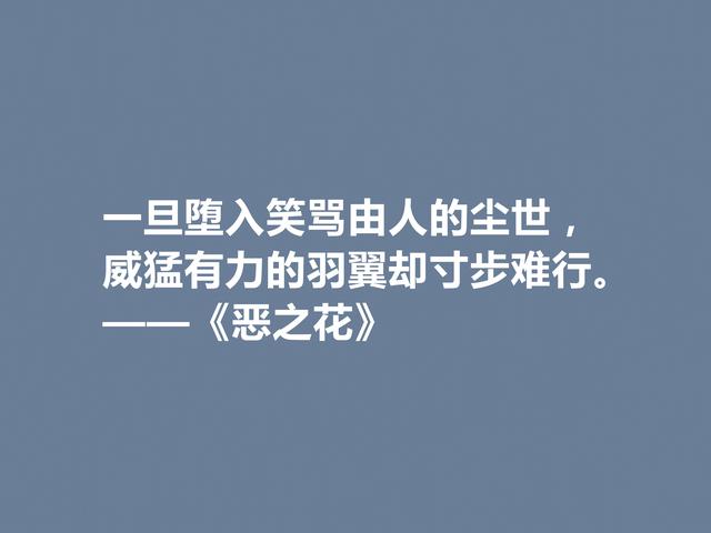 法国诗人波德莱尔，诗集《恶之花》中佳话，透彻又犀利，佩服