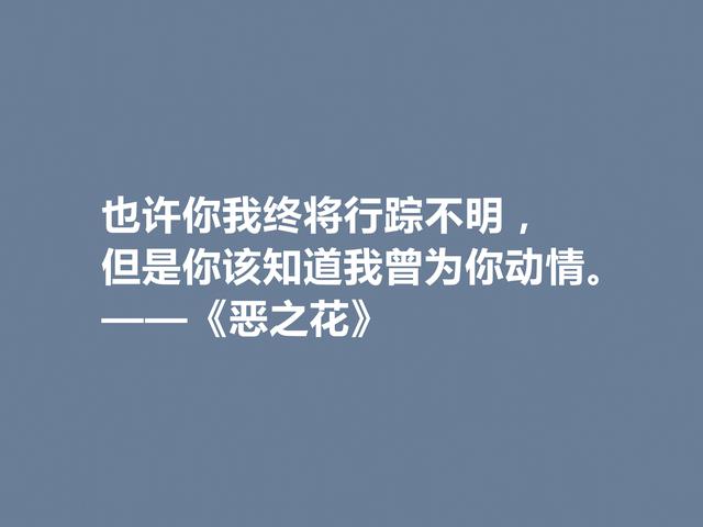 法国诗人波德莱尔，诗集《恶之花》中佳话，透彻又犀利，佩服