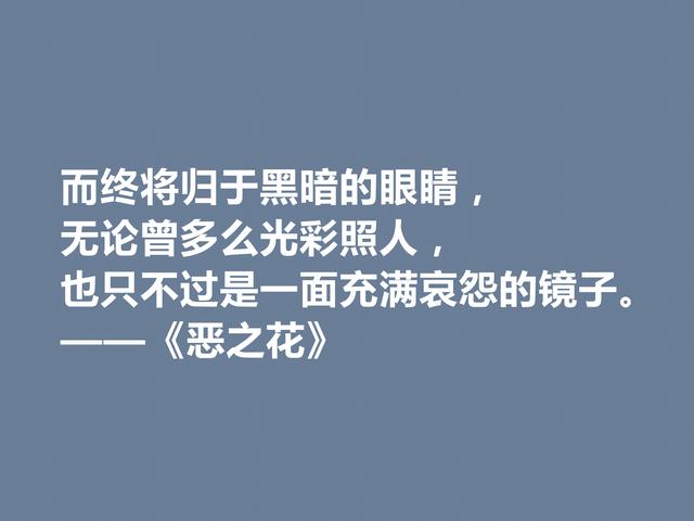 法国诗人波德莱尔，诗集《恶之花》中佳话，透彻又犀利，佩服