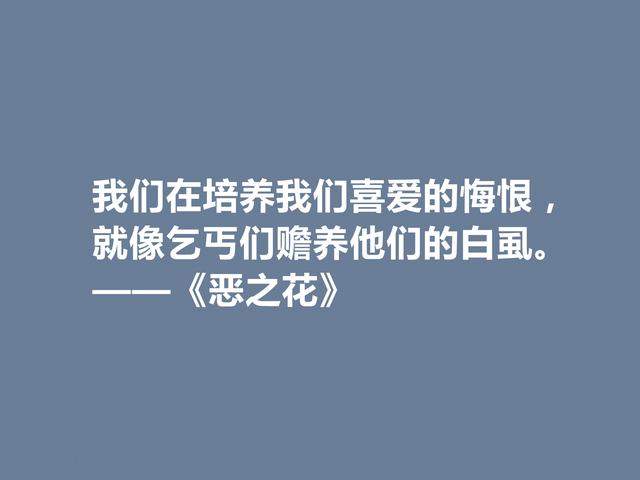 法国诗人波德莱尔，诗集《恶之花》中佳话，透彻又犀利，佩服