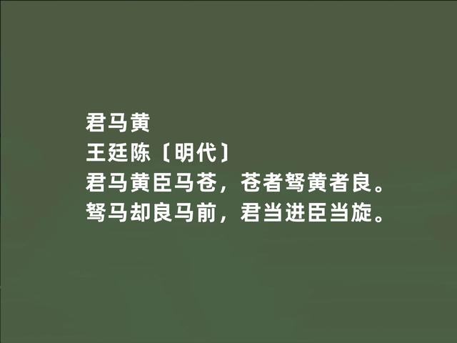 明朝著名诗人王廷陈，他这诗，叙事抒情兼备，五言诗堪称一绝