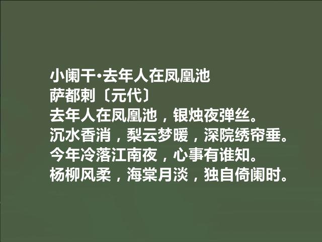 元代回族诗人，萨都剌诗，豪放激昂，清丽悠远，让人回味无穷