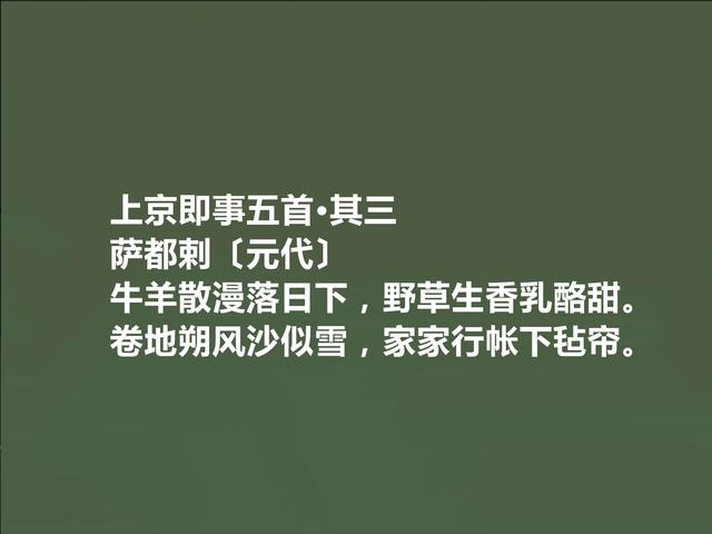 元代回族诗人，萨都剌诗，豪放激昂，清丽悠远，让人回味无穷