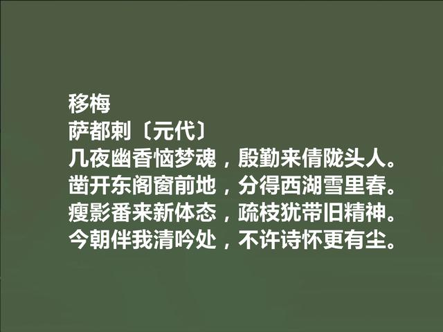 元代回族诗人，萨都剌诗，豪放激昂，清丽悠远，让人回味无穷