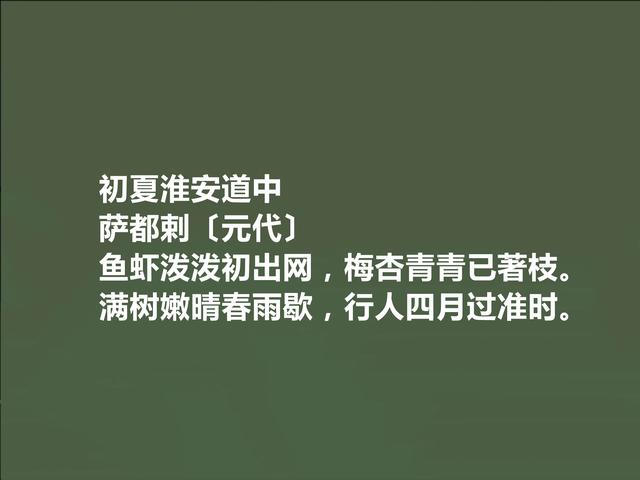 元代回族诗人，萨都剌诗，豪放激昂，清丽悠远，让人回味无穷