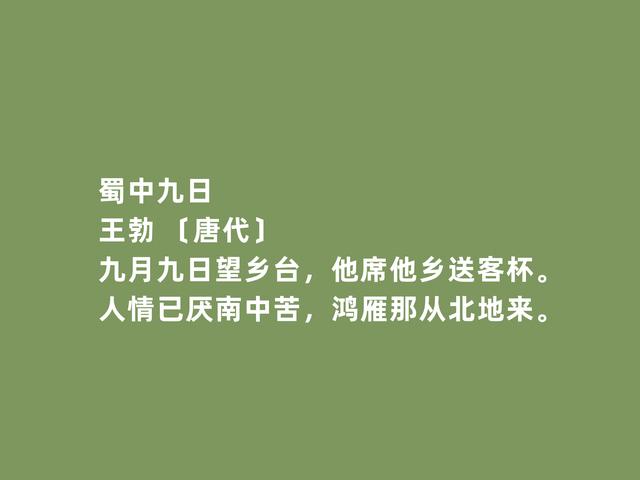 重阳以孝为先，读古诗词，体会古人多重情感，感叹祖国的伟大