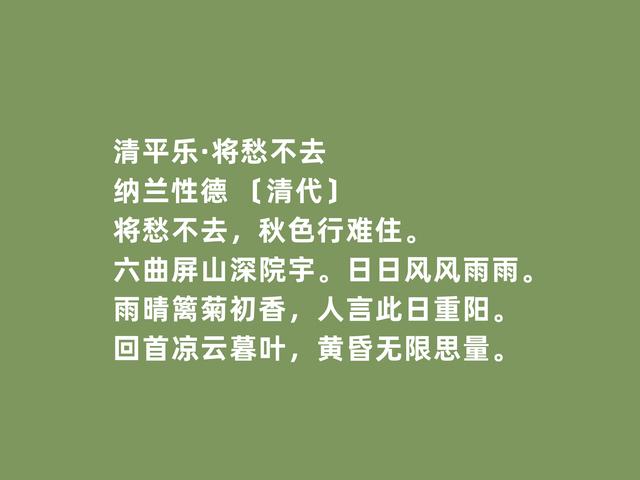 重阳以孝为先，读古诗词，体会古人多重情感，感叹祖国的伟大