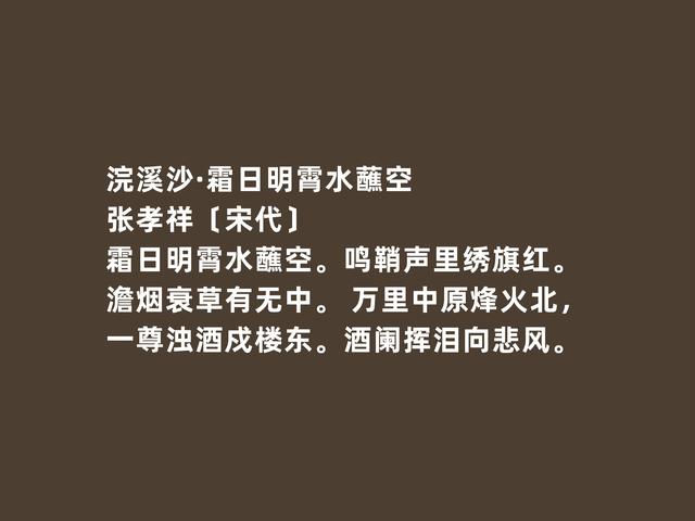 南宋爱国词人，张孝祥词，气势恢宏，又凸显高尚人格