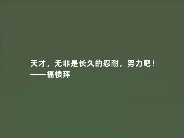 法国文坛巨匠，福楼拜格言，充满真实感，又凸显现实主义特色