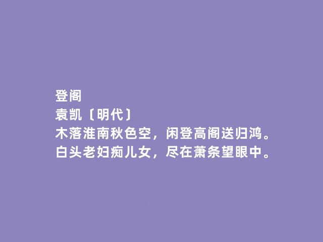 元明之际，百岁诗人，袁凯诗，咏物诗趣味横生，暗含隐逸情怀