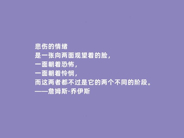 爱尔兰文坛巨匠，乔伊斯格言，批判主义犀利，又暗含流亡意识