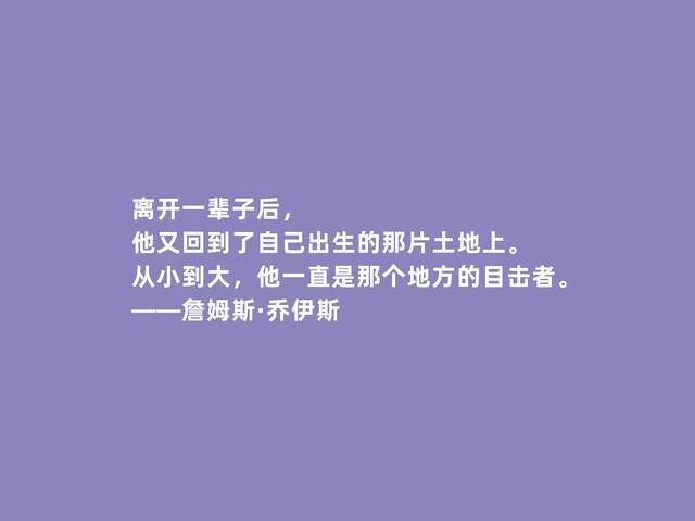 爱尔兰文坛巨匠，乔伊斯格言，批判主义犀利，又暗含流亡意识