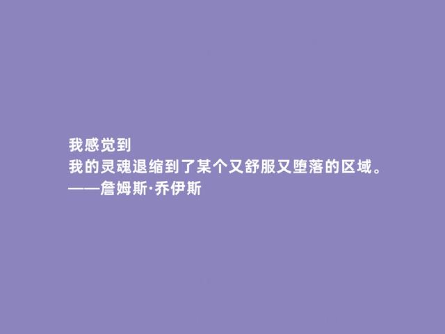 爱尔兰文坛巨匠，乔伊斯格言，批判主义犀利，又暗含流亡意识